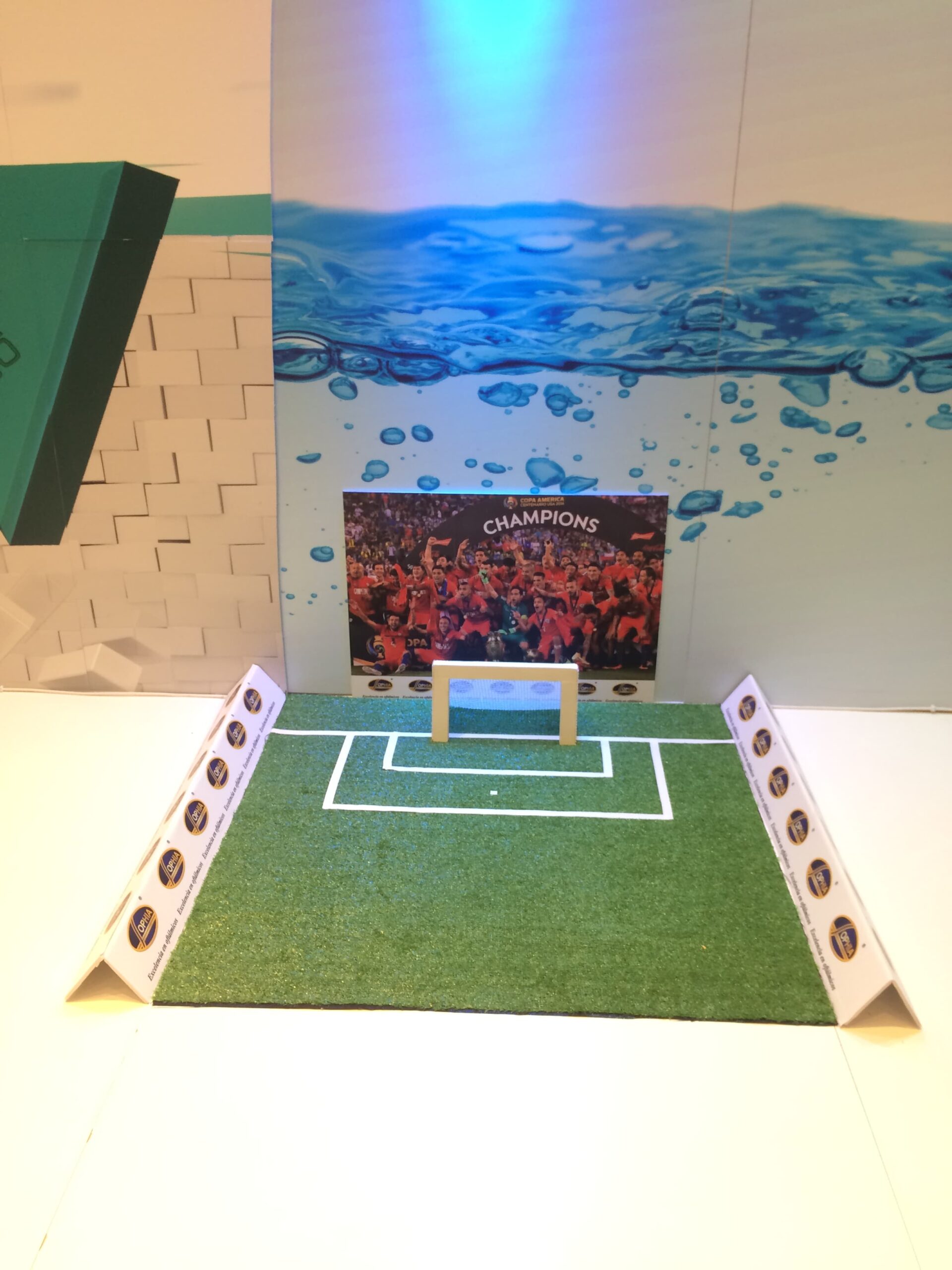 Proyectos Creativos 6 — Impresión y Montaje Santiago